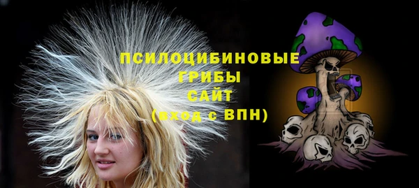 скорость Алексин