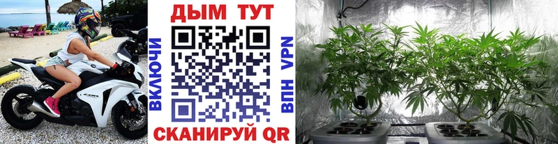 это официальный сайт  Зверево  Бошки Шишки гибрид  где продают  